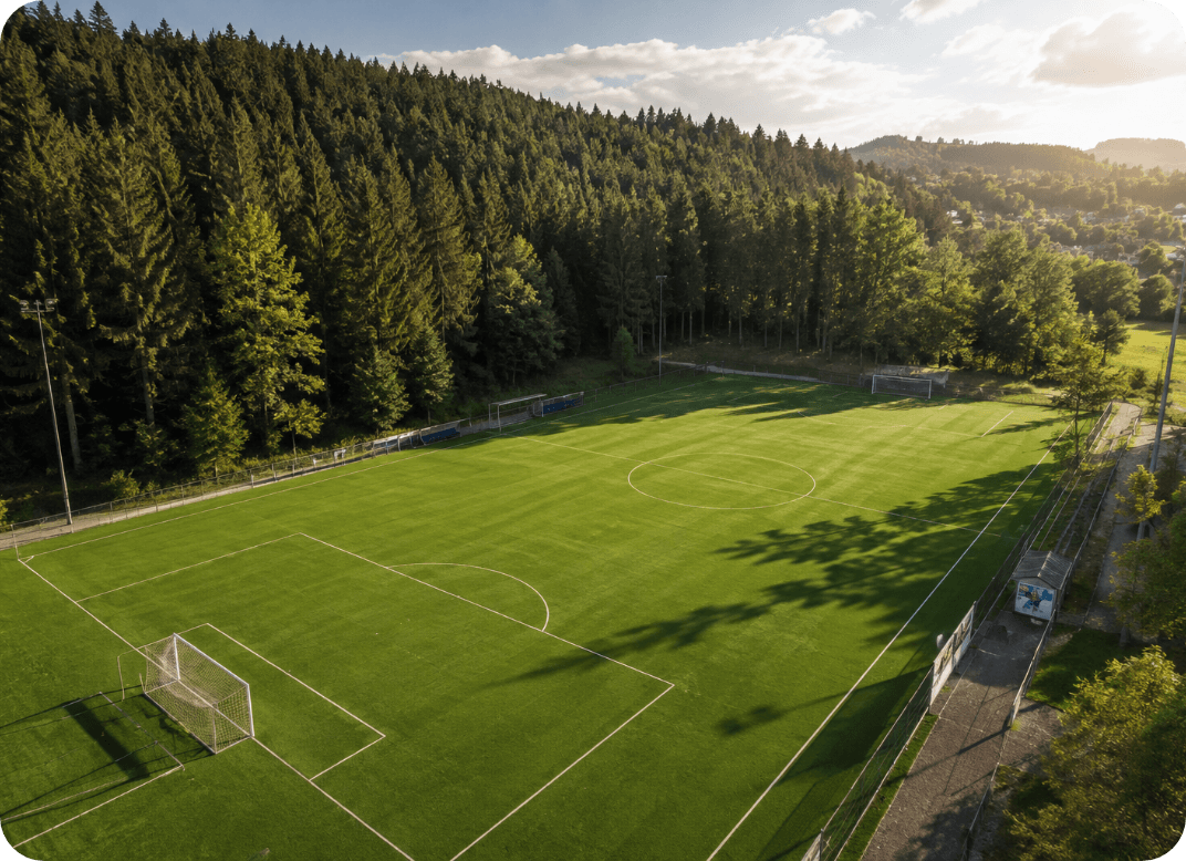 campo da calcio in una foresta